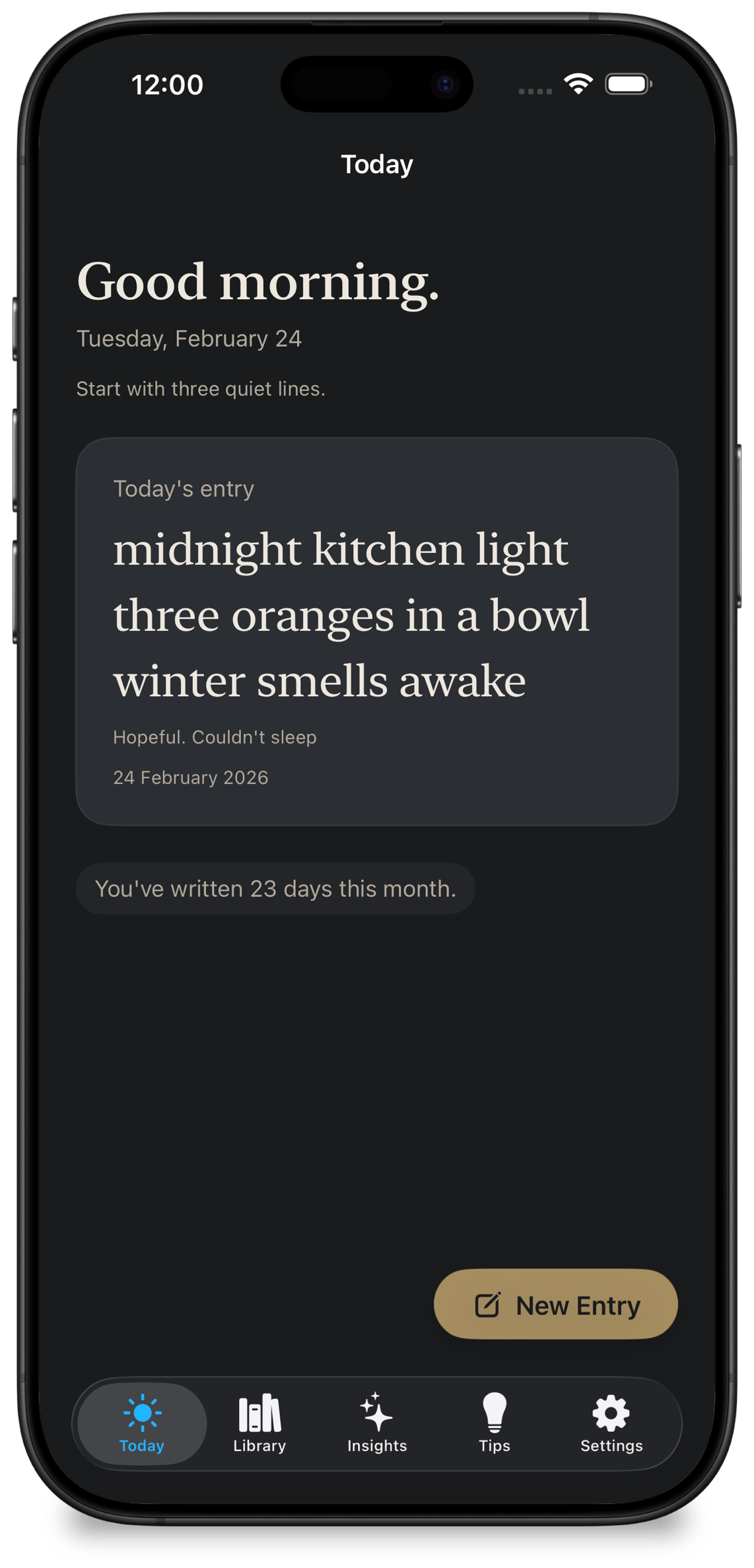 HaikuOne iPhone app screen showing Today's entry