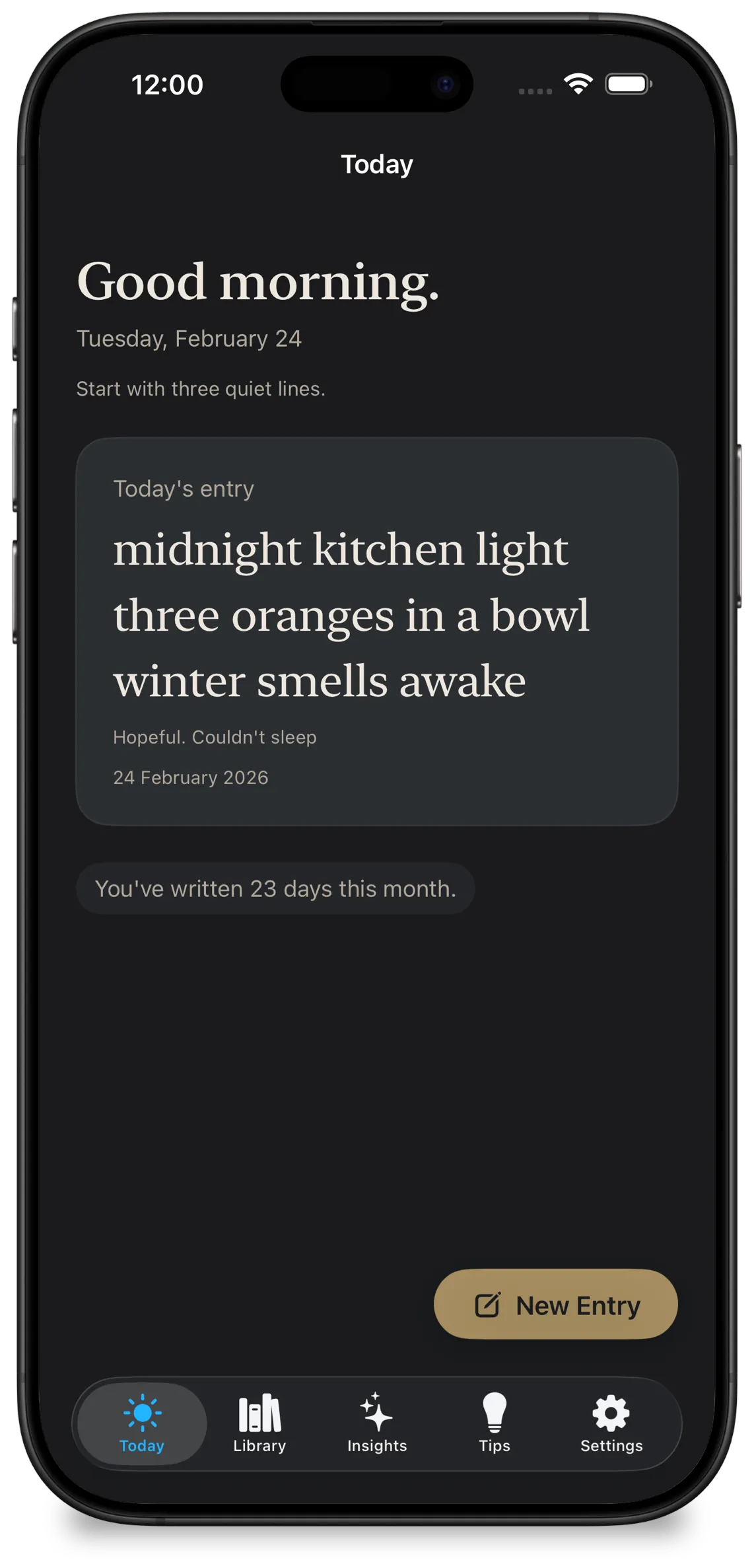 HaikuOne iPhone app screen showing Today's entry